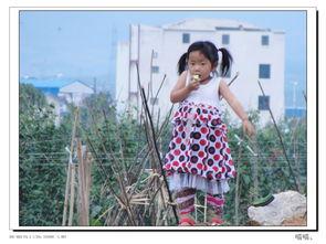 女人在田边吃瓜,女性田间悠闲时光