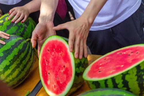 清州大学吃瓜,揭秘校园里的“瓜田”风云