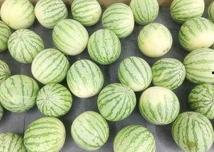 吃瓜大静,揭秘娱乐圈幕后故事