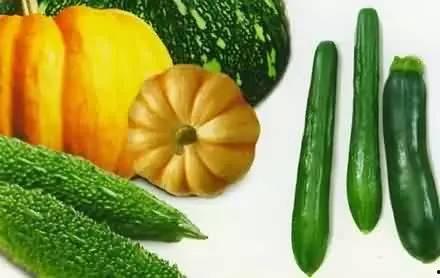 春吃芽夏吃瓜养生,四季养生之道