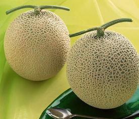 孩子吃哈密瓜后舌头麻,揭秘孩子食用后的神奇现象