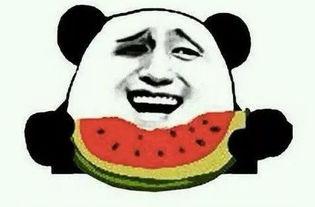 东奥引导员吃瓜,揭秘幕后真相与网络舆论风暴