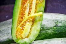 高安网红吃瓜,揭秘网络热点背后的故事