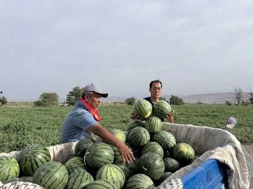 于都疫情吃瓜日记,一场吃瓜日记的温情记录
